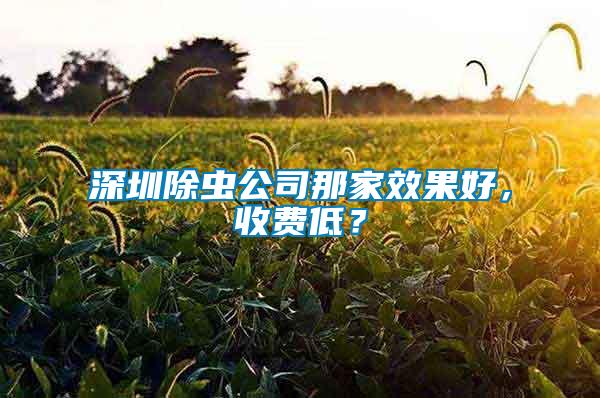 深圳除蟲公司那家效果好，收費低？