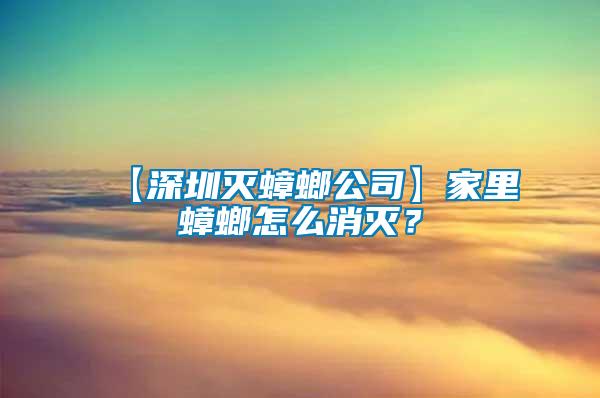 【深圳滅蟑螂公司】家里蟑螂怎么消滅？