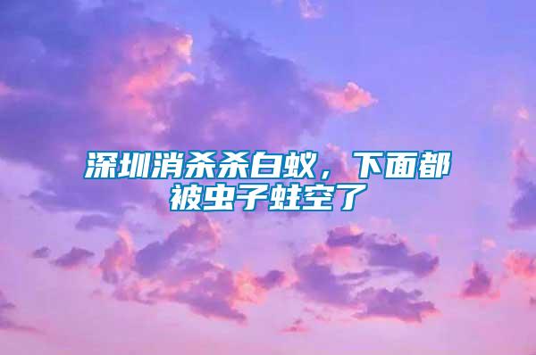 深圳消殺殺白蟻，下面都被蟲子蛀空了