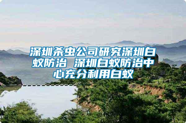 深圳殺蟲公司研究深圳白蟻防治 深圳白蟻防治中心充分利用白蟻