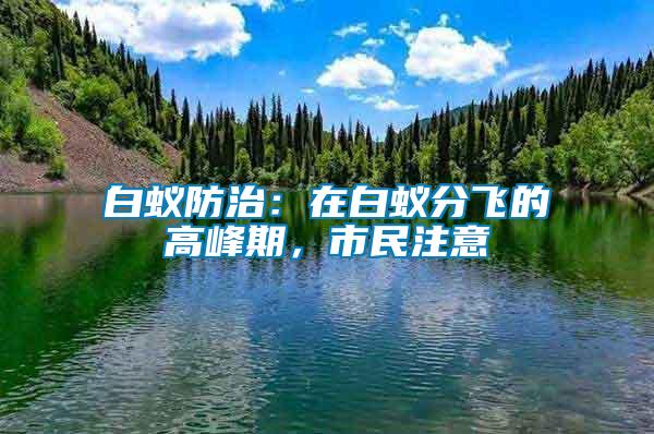 白蟻防治：在白蟻分飛的高峰期，市民注意