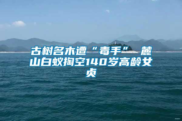 古樹(shù)名木遭“毒手” 麓山白蟻掏空140歲高齡女貞