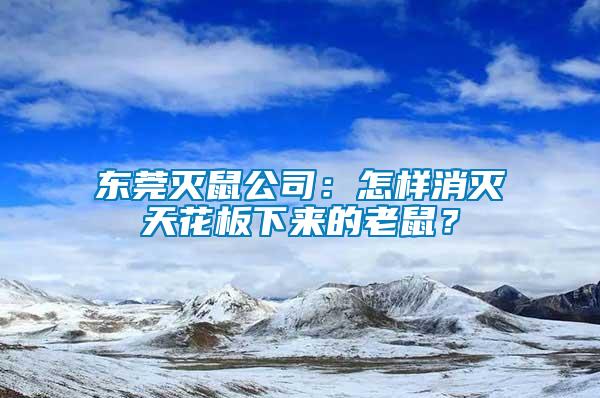 東莞滅鼠公司：怎樣消滅天花板下來的老鼠？