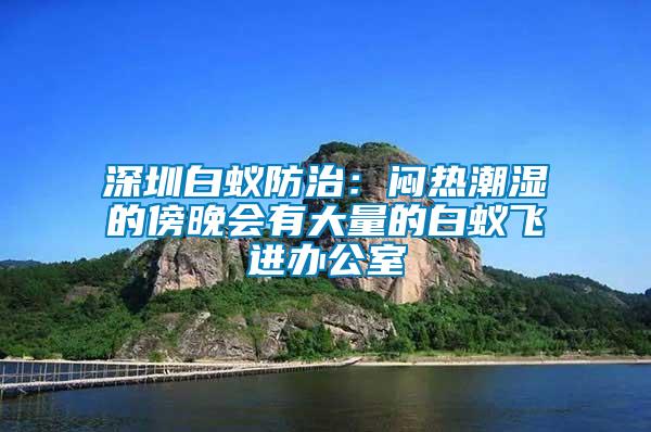 深圳白蟻防治：悶熱潮濕的傍晚會(huì)有大量的白蟻飛進(jìn)辦公室