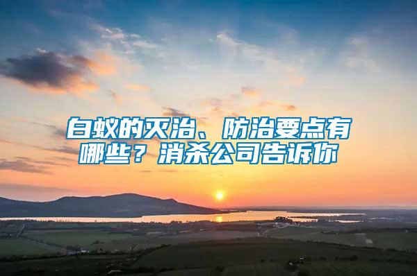 白蟻的滅治、防治要點有哪些？消殺公司告訴你