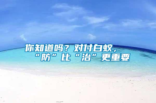 你知道嗎？對付白蟻，“防”比“治”更重要