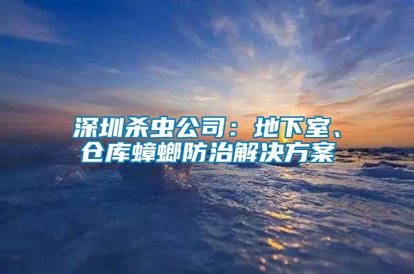 深圳殺蟲公司：地下室、倉庫蟑螂防治解決方案