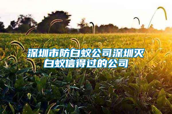 深圳市防白蟻公司深圳滅白蟻信得過(guò)的公司