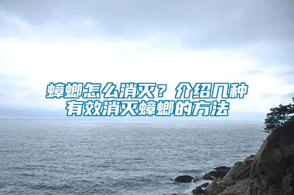 蟑螂怎么消滅？介紹幾種有效消滅蟑螂的方法