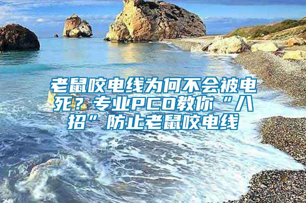 老鼠咬電線為何不會被電死？專業(yè)PCO教你“八招”防止老鼠咬電線