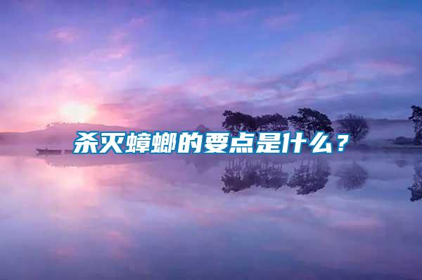 殺滅蟑螂的要點(diǎn)是什么？