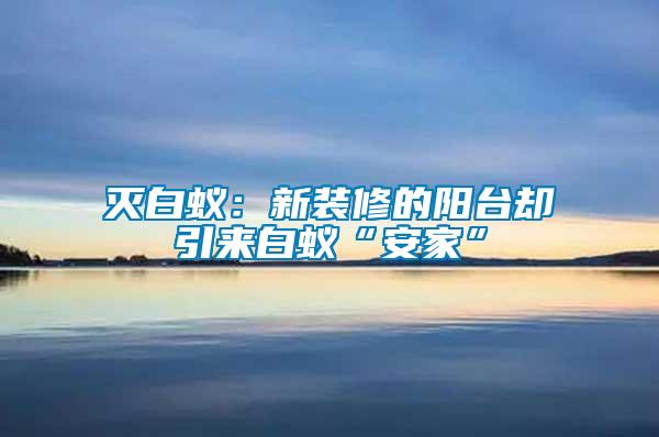 滅白蟻：新裝修的陽臺卻引來白蟻“安家”