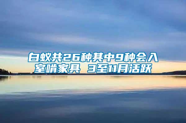 白蟻共26種其中9種會入室啃家具 3至11月活躍