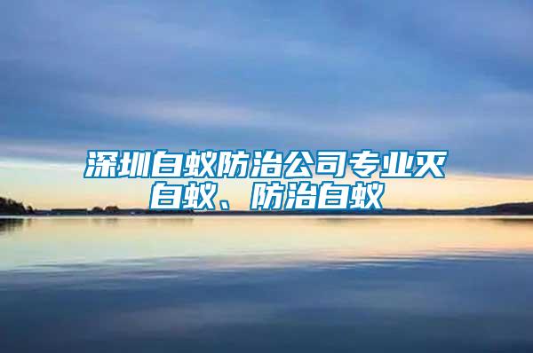 深圳白蟻防治公司專業(yè)滅白蟻、防治白蟻