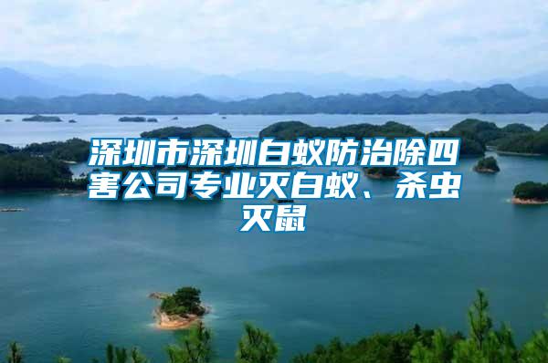 深圳市深圳白蟻防治除四害公司專業(yè)滅白蟻、殺蟲滅鼠