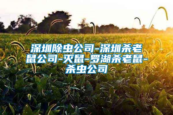 深圳除蟲公司-深圳殺老鼠公司-滅鼠-羅湖殺老鼠-殺蟲公司