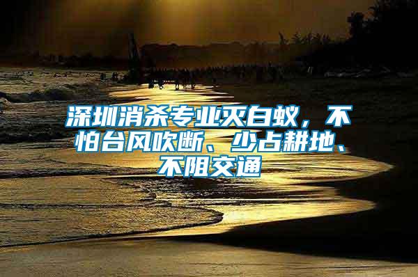 深圳消殺專業(yè)滅白蟻，不怕臺(tái)風(fēng)吹斷、少占耕地、不阻交通