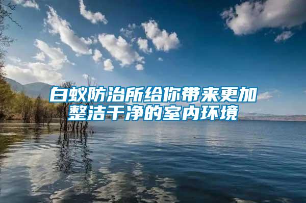 白蟻防治所給你帶來(lái)更加整潔干凈的室內(nèi)環(huán)境