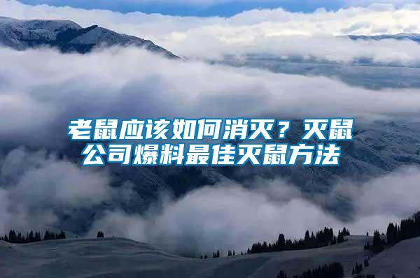 老鼠應(yīng)該如何消滅？滅鼠公司爆料最佳滅鼠方法