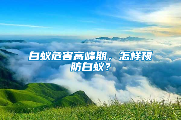 白蟻危害高峰期，怎樣預(yù)防白蟻？