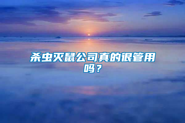 殺蟲滅鼠公司真的很管用嗎？