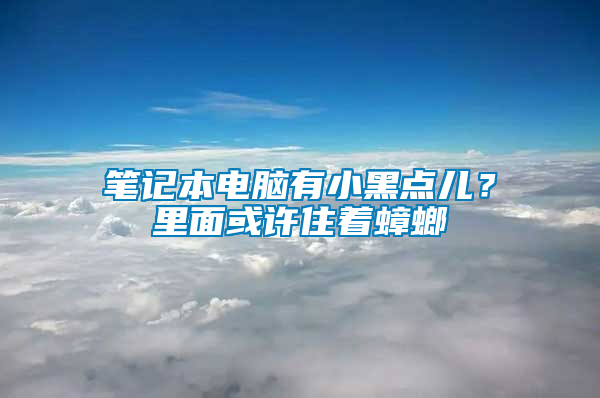 筆記本電腦有小黑點兒？里面或許住著蟑螂