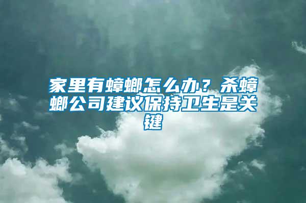 家里有蟑螂怎么辦？殺蟑螂公司建議保持衛(wèi)生是關(guān)鍵