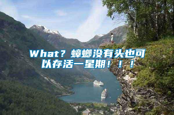 What？蟑螂沒(méi)有頭也可以存活一星期?。。?/></p>
             <p style=