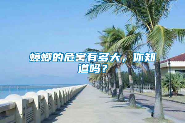 蟑螂的危害有多大，你知道嗎？