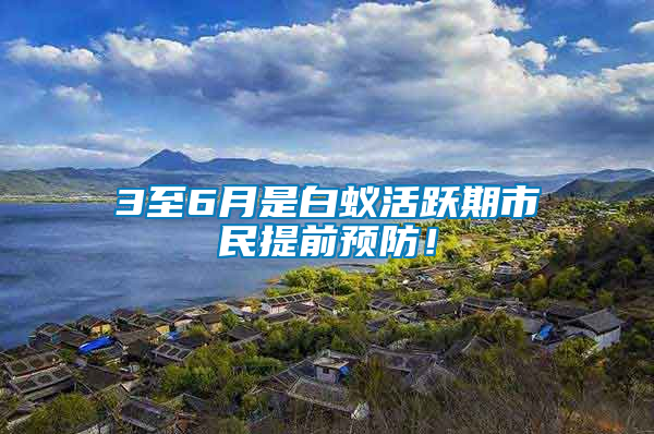 3至6月是白蟻活躍期市民提前預防！