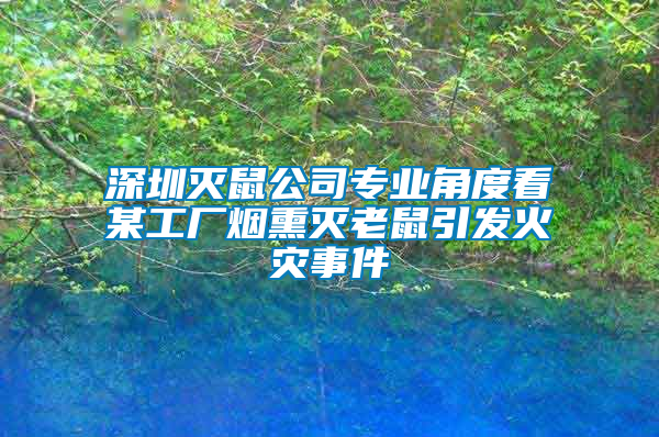 深圳滅鼠公司專業(yè)角度看某工廠煙熏滅老鼠引發(fā)火災(zāi)事件