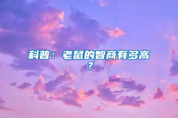 科普：老鼠的智商有多高？