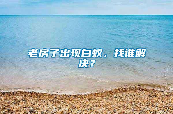 老房子出現(xiàn)白蟻，找誰解決？