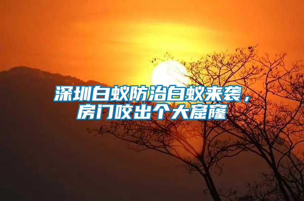 深圳白蟻防治白蟻來襲，房門咬出個大窟窿