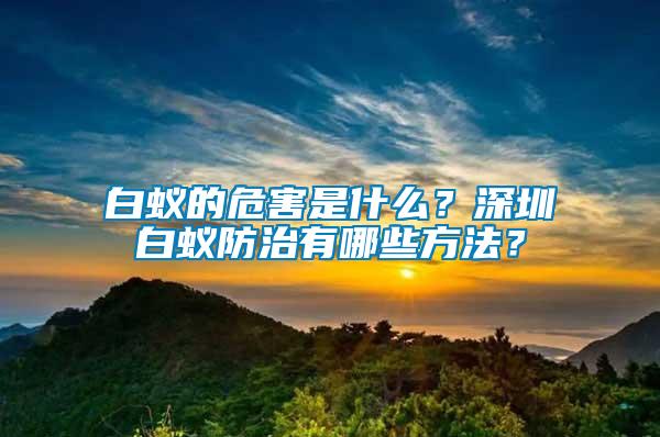 白蟻的危害是什么？深圳白蟻防治有哪些方法？