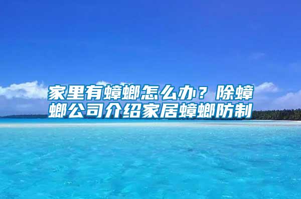 家里有蟑螂怎么辦？除蟑螂公司介紹家居蟑螂防制