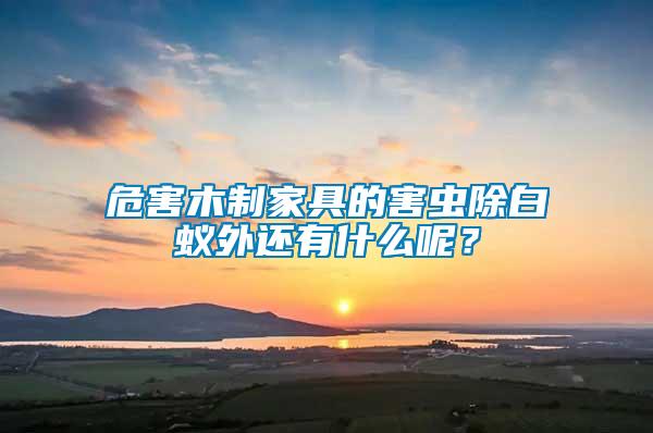 危害木制家具的害蟲除白蟻外還有什么呢？