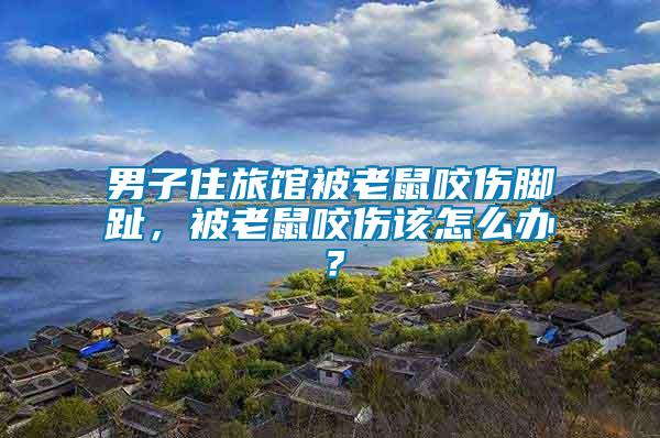 男子住旅館被老鼠咬傷腳趾，被老鼠咬傷該怎么辦？