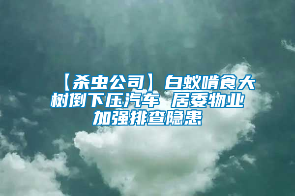 【殺蟲公司】白蟻啃食大樹倒下壓汽車 居委物業(yè)加強排查隱患