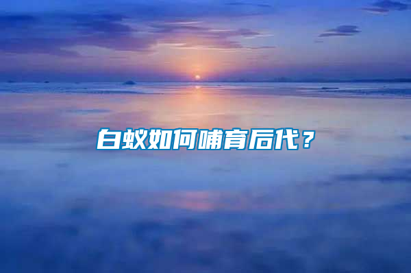 白蟻如何哺育后代？