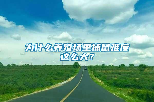 為什么養(yǎng)殖場里捕鼠難度這么大？