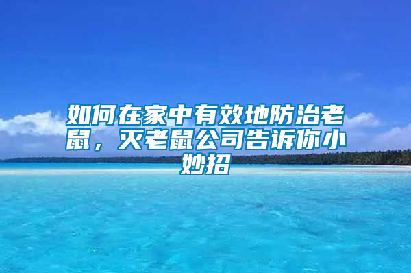 如何在家中有效地防治老鼠，滅老鼠公司告訴你小妙招