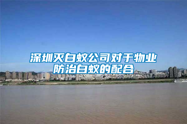 深圳滅白蟻公司對于物業(yè)防治白蟻的配合