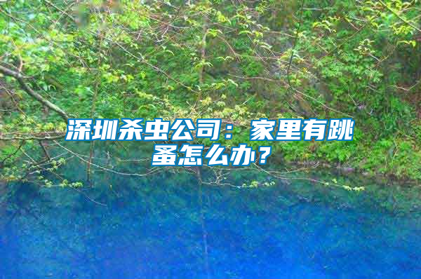 深圳殺蟲公司：家里有跳蚤怎么辦？