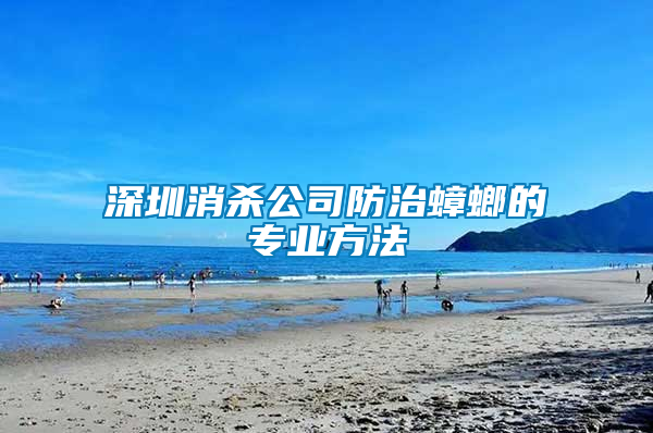 深圳消殺公司防治蟑螂的專業(yè)方法