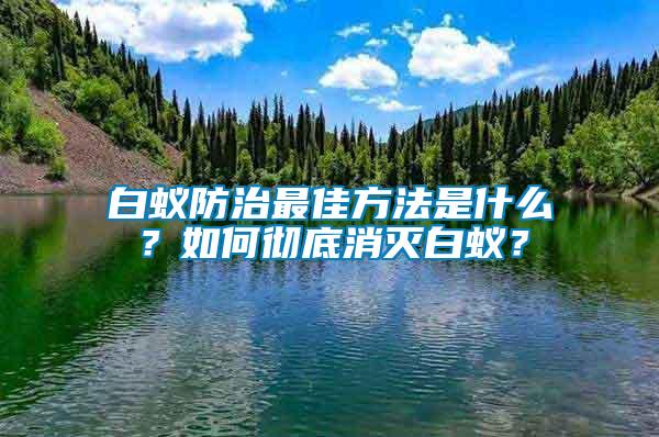 白蟻防治最佳方法是什么？如何徹底消滅白蟻？