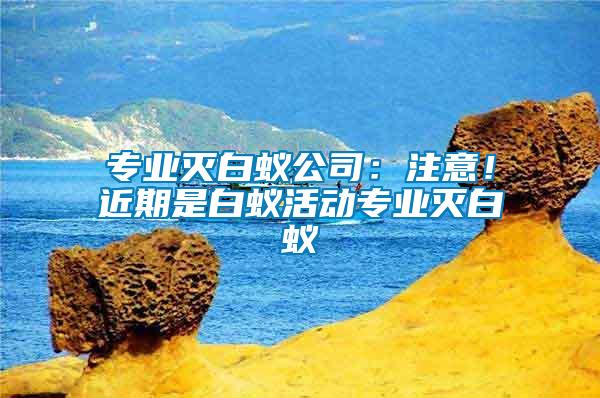 專業(yè)滅白蟻公司：注意！近期是白蟻活動專業(yè)滅白蟻