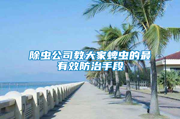 除蟲公司教大家蜱蟲的最有效防治手段