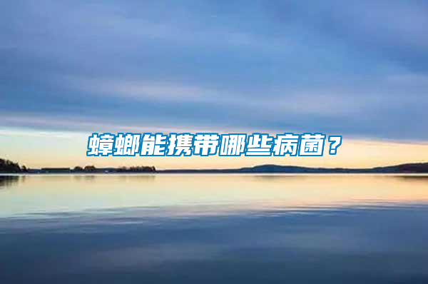 蟑螂能攜帶哪些病菌？