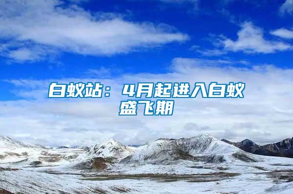 白蟻站：4月起進(jìn)入白蟻盛飛期